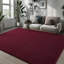 Solid Colour Shag Area Rug-121281090-121281094