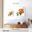 Abricots mûres Yarlin-109232456