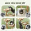 Archie & Oscar™ Modern Cat Tree with Wooden Scratching Posts, Condo, Beds, Cushions