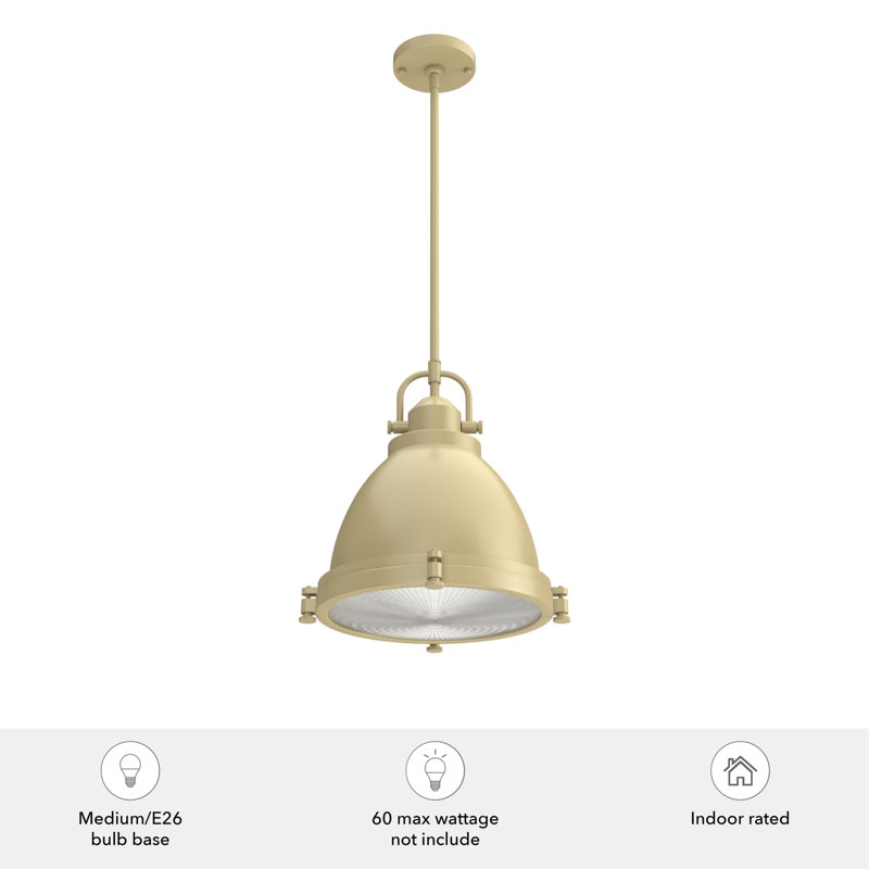 Bridgemoor Modern Brass 2-Light Industrial Pendant with Clear Glass
