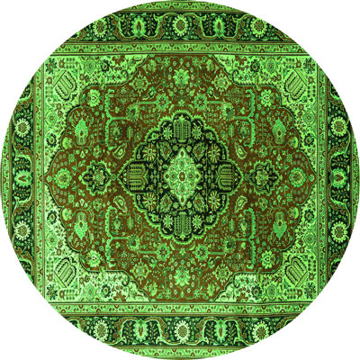 Washable Oriental Indoor Rug