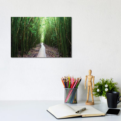 Boardwalk Through Bamboo, Pipiwai Trail, Hakeakala National Park, Kipahulu, Hana Road, Maui, Hawaii, USA I by Panoramic Images - Wrapped Canvas Print