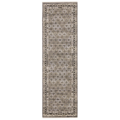 Emerence Oriental Indoor Rug