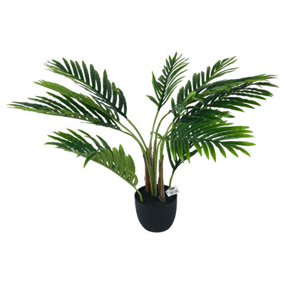 68cm Palm Tree in Pot