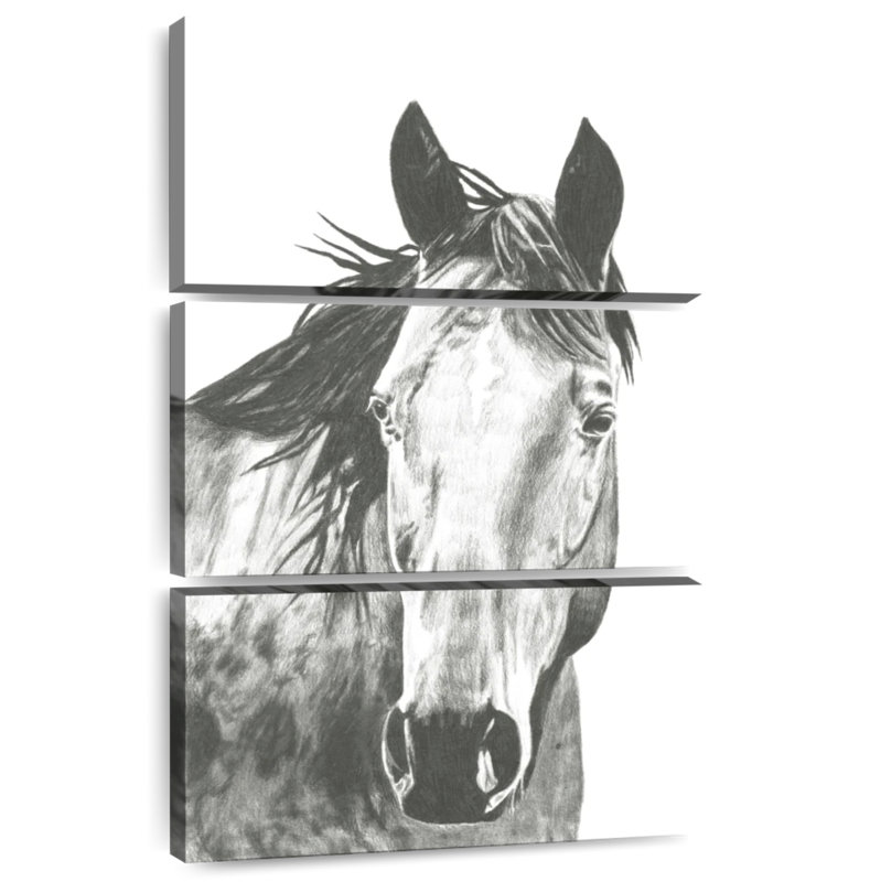 Wildlife Snapshot Horse I, 50" H x 32" W