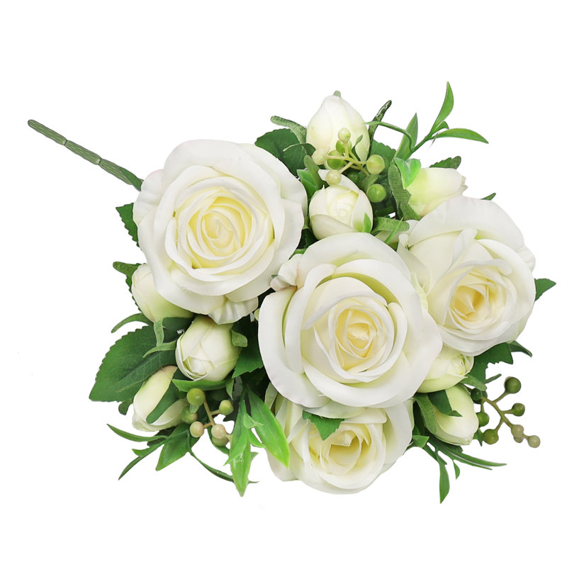 Doux jet de rose délicat, Crème / blanc