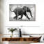 Bébé éléphant qui court-107938695
