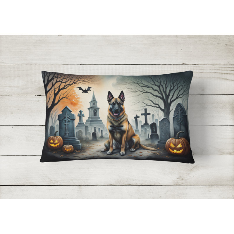 Other/No Pattern Outdoor Throw Pillow