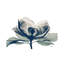 Blue Ranged Magnolia I by Albert Koetsier - Gallery-Wrapped Canvas Giclée on Canvas-2128896676-2080500868