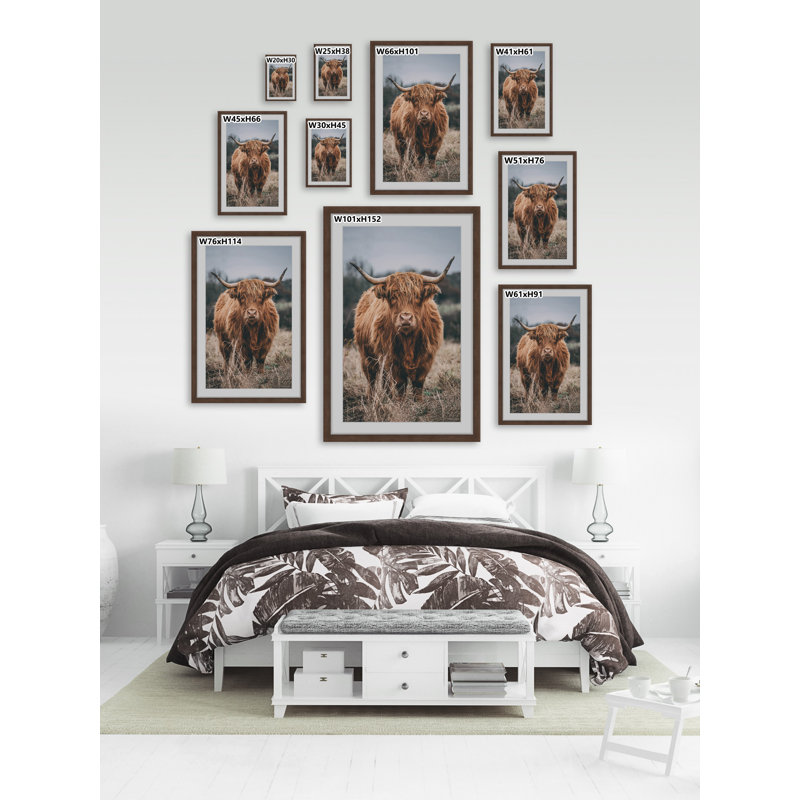 Hairy Coos - Print, Brown Framed Paper, 30cm H x 30cm W x 3.81cm D