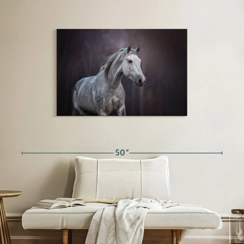 Cheval arabe Brampt