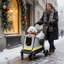 Chariot-poussette portable pliable
