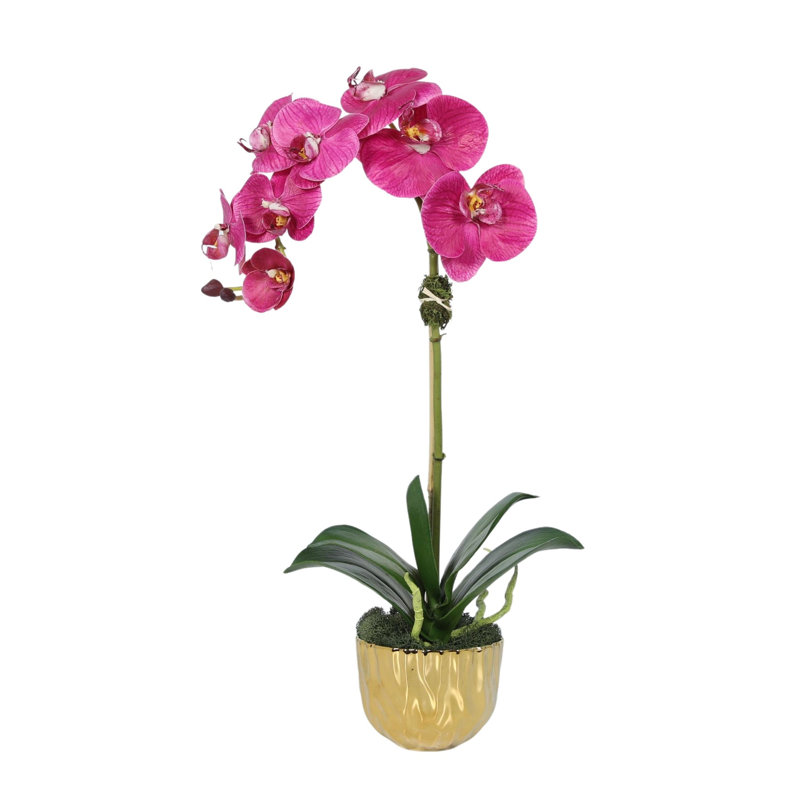 Silk Orchid Plant In White Vase, Gold, Pink