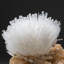 Scolécite sur stilbite du quartier de Nasik, Maharashtra, Inde (2,20 lb)
