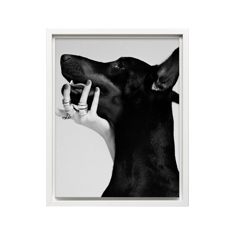 Dobermann noir, Canvas, White Framed, 11"H x 14"W