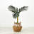 Yazzie 36'' Faux Palm Tree