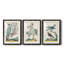 Pastel Birds I Premium encadré mat - prêt à être accroché-137515693-137515692