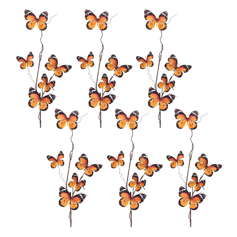 Brindille papillon, Orange / brun