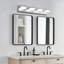 Applique murale moderne à 4 lumières pour salle de bain et miroir, design minimaliste élégant, écoénergétique, facile à installer