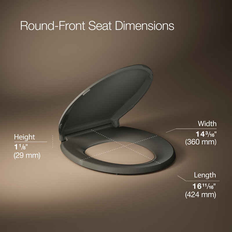 Cachet® Quiet-close™ Round-front Toilet Seat, Thunder Gray, Ready Latch