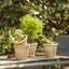 Crowborough Wh Mini Pots-1007877158