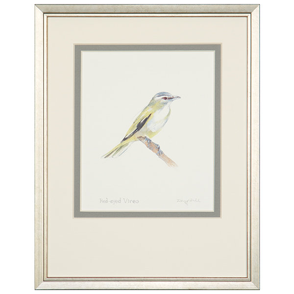Red-Eyed Vireo Print by Daughdrill