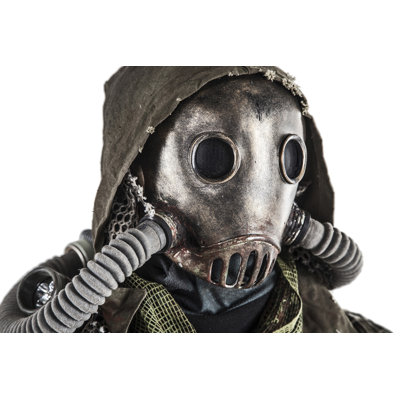 Close-Up Portrait Of Post-Apocalypse Survivor Wearing Rags And Full-Face Gas Mask. Poster Print By Oleg Zabielin/Stocktr -  Trinx, 102082C2C9184C1BA0E53D828B7C2376