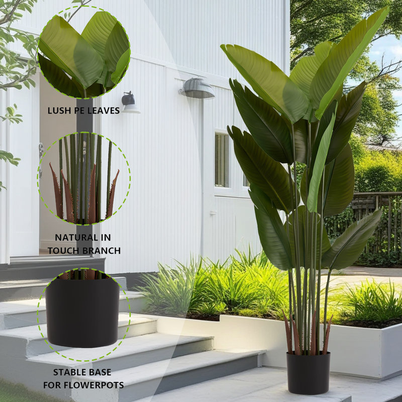 Get Everything You Need