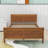 Dovidio Wood Platform Bed Frame with Headboard-653515525-653515524