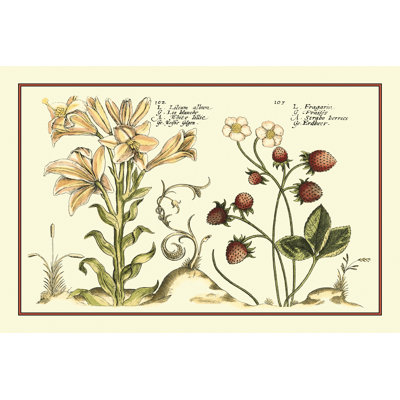 Garden Botanica I - Wrapped Canvas Painting