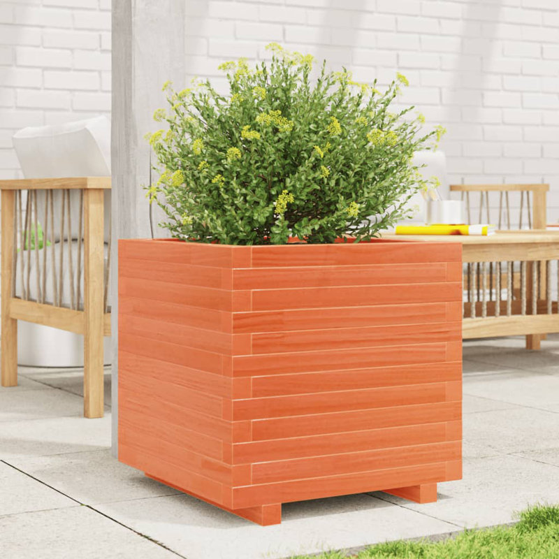 Wood Planter Box, 49.5cm H x 50cm W x 50cm D, Wax Brown