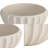Atzaro 5" Scalloped Resin Bowl