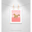 Adhésif décoratif ombre rose 3 pi-47841293-47482504