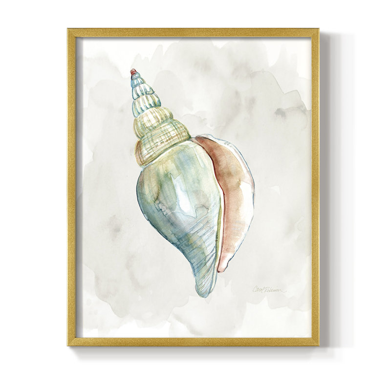 «Pastel Shell II», reproduction encadrée - bois massif, Or, H 28 po x l 22 po