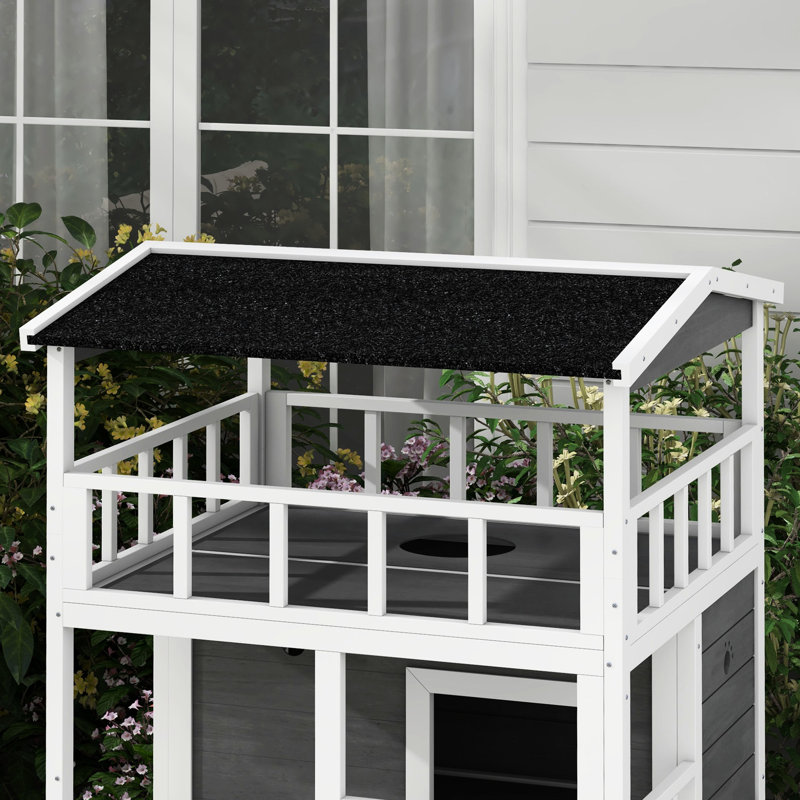 Abri pour chat extérieur en bois, gris, avec toit en asphalte, portes de secours et plateforme de saut dynamique