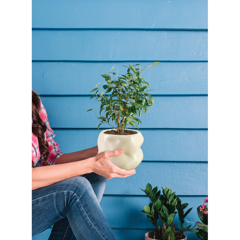 Orren Ellis Ceramic Sculptural Vase, Modern Organic Vase For Home, Event Decor, Table Centerpiece, Or Gifting - Perfect For Fresh Or Dried Flowers, 6.5" Diameter & 5" Tall