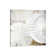 White Shells II-1PC6