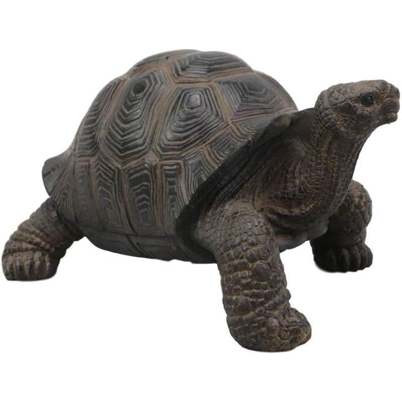 Figurine Keytesville Galapagos