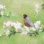 " Springtime Robin " by Lori Deiter Painting Print