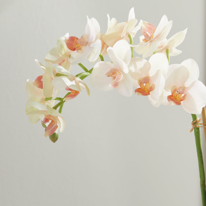 Light Pink Orchid 16" Mini Garden Drop-In
