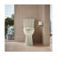 Toilette allongée deux pièces Kelston 1,28 GPF-98958873