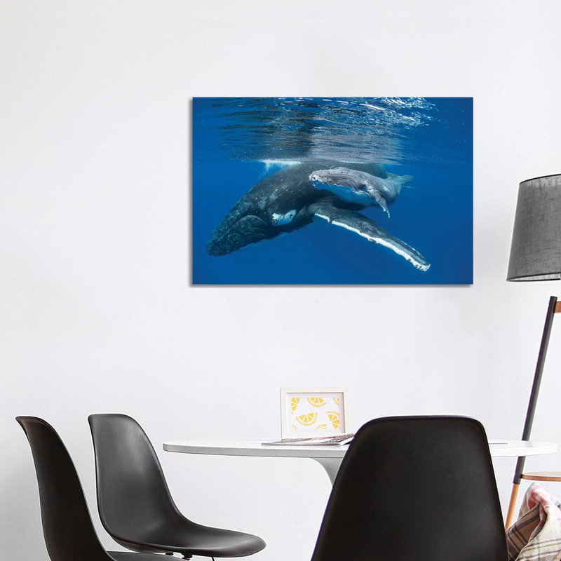 Humpback Whale Mother With Four Day Old Calf, Tonga by Suzi Eszterhas - Wrapped Canvas Gallery-Wrapped Canvas Giclée