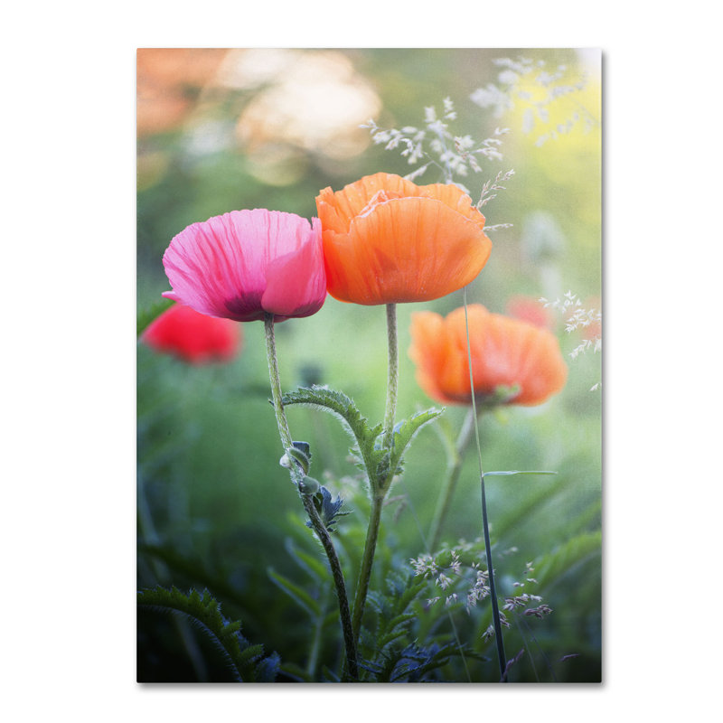 « love me » par philippe sainte-laudy, reproduction de photo sur toile tendue, H 47 po x l 30 po x P 2 po
