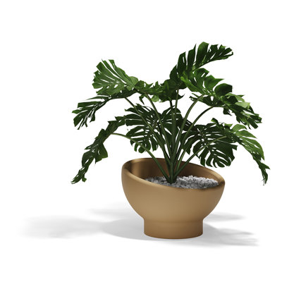 Luna Planter