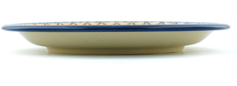 Stoneware Dinner Plate