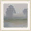 Shrouded Cypress 2 Print