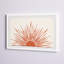 «The Sun Rays», reproduction encadrée-1024131393