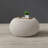 Andersen Solid Coffee Table-636915205