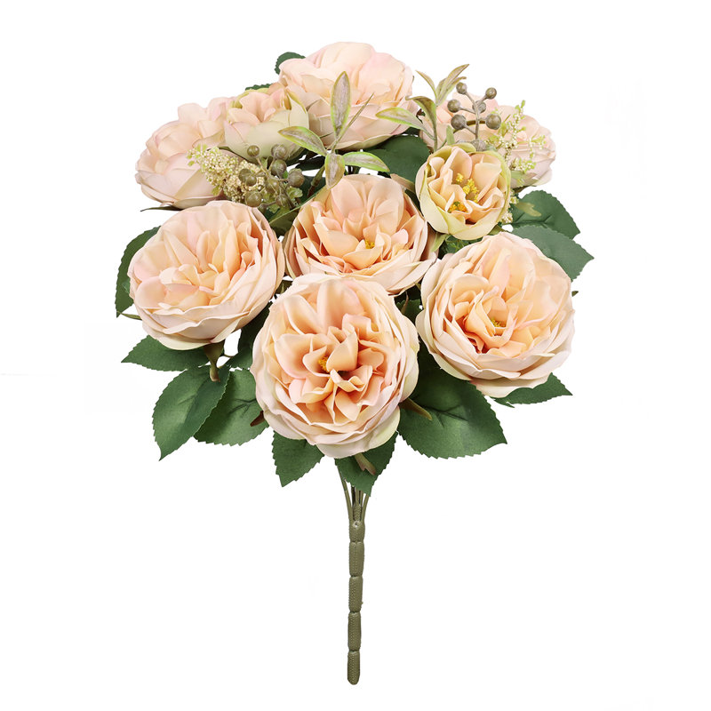 Chou rose, Ivoire, rosé