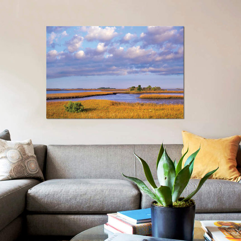«Saltwater Marshes at Cedar Key, Florida», reproduction de photo sur toile, H 18 po x l 26 po x P 1,5 po